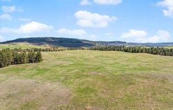 Tract 7 Lone Elk Ranch, Alva, WY 82711