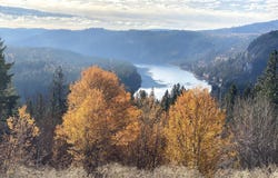 3164 DENNEY RANCH WAY, KETTLE FALLS, WA 99141