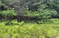 6389 CTH J, St Germain, WI 54558