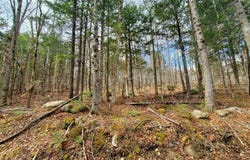 0 Sandy Beach Road, Danforth, ME 04424