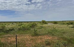47.9 Acres W HWY 277, Seymour, TX 76380