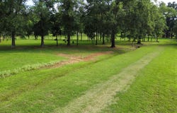 900 Brown Street, Paris, AR 72855