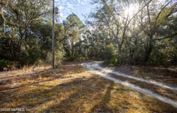 LAKE EVERETT Drive, Melrose, FL 32666