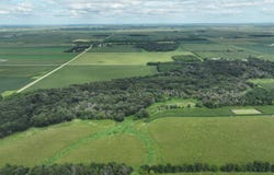 170th St, Riceville, IA 50466