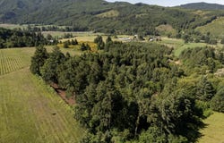 6900 NW Gales Creek Rd, ForestGrove, OR 97116