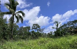 15-1463 21ST AVE, Keaau, HI 96749