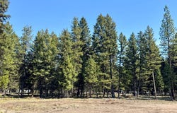 134 Nordic Way, Seeley Lake, MT 59868
