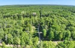 9 Gambling Trail, Harrison, MI 48625