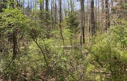 Hickory Cir, Alexander City, AL 35010