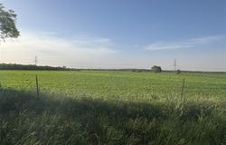 Tbd 25 Acres County Road 368, Trent, TX 79561