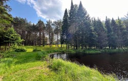 538 Tooley Pond Rd, Cranberry Lake, NY 12927