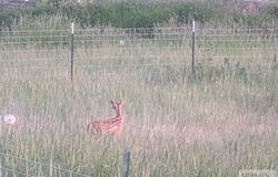 Tbd 589 N 3600 E, Menan, ID 83434