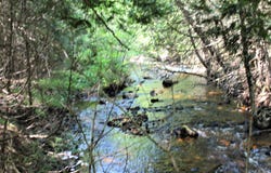 on W Shingleton Road, Shingleton, MI 49884