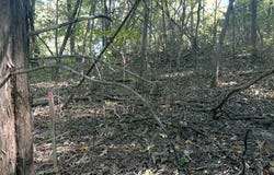 Charlton Circle lot: 5, Bella Vista, AR 72715