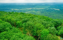 237 County Road 844, Mentone, AL 35984