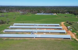 557 Bass Laird Road Tract A, Prentiss, MS 39474