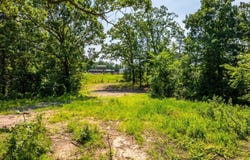 Tract 5 Harmony Mountain Road, Clinton, AR 72031