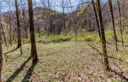 Martin Creek Rd, NAOMA, WV 25140
