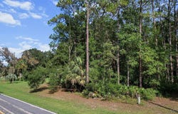 9392 W Emerald Oaks Drive, Crystal River, FL 34428
