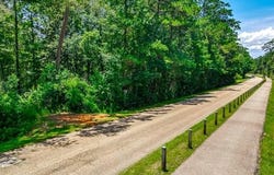 2145 W 15TH Avenue lot: D, Covington, LA 70433