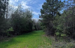 337+/- ac Ga Highway 0137, Buena Vista, GA 31803