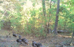 State HWY 144, Nashoba, OK 74558