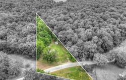 6908 Tiger Rd Road, Pierce City, MO 65723