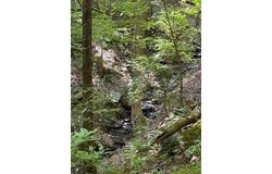 176 ABBEY Court NE, Ranger, GA 30734