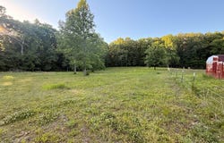 4585 Copper Springs Rd, SPRINGVILLE, TN 38256