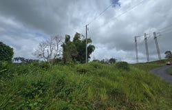 46 PARCELA EN BO JACANAS, YABUCOA, 00767