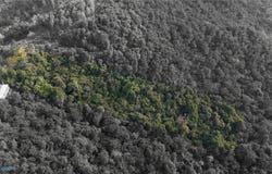 Pr-715 Km 5.7 INT CERCADILLO, CAYEY, 00736