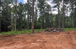 2852 Lovewood Drive, Cottondale, FL 32431