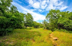 Tbd N. College Rd, Bryson, TX 76427