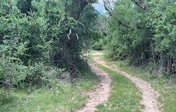 Tbd FM 2486, Gustine, TX 76455