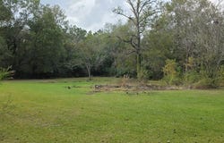 149 Green, New Caney, TX 77357