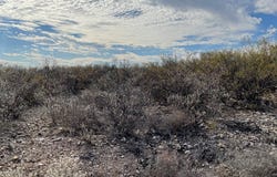 1292 Venado Grande, Eagle Pass, TX 78852