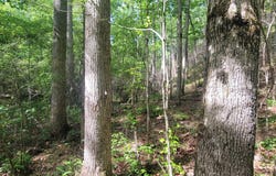 0 CR 77, Ashland, AL 36251