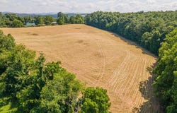 Tbd Hanging Tree, Hillsville, VA 24343