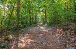 50 Acres Scenic Highway, Attalla, AL 35954