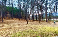 1 Magnolia Court, Summerville, GA 30747