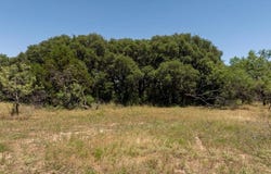 Tbd CR 386, Carlton, TX 76436