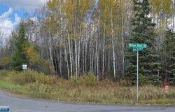 TBD 28.9 Rangeline Rd, Orr, MN 55771
