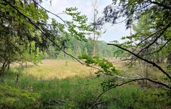 Lot 180 BUCKSKIN TR, Minocqua, WI 54548
