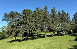 17483 64th St SW, Cokato, MN 55321