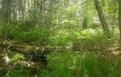 M13, L36, Harland Cunningham Road, Penobscot, ME 04476