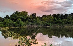13544 State Highway Kk, Marshfield, MO 65706