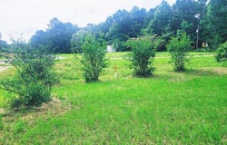 22473 FM 2208, Harleton, TX 75651