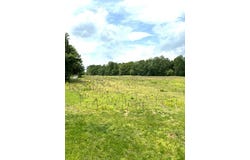 1 Nelson Mill Road, Jamestown, KY 42629