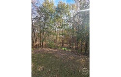 2412 Snowshoe Bend, Bethlehem, GA 30620