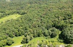 989 Robinson Rd, Warren, NY 13407